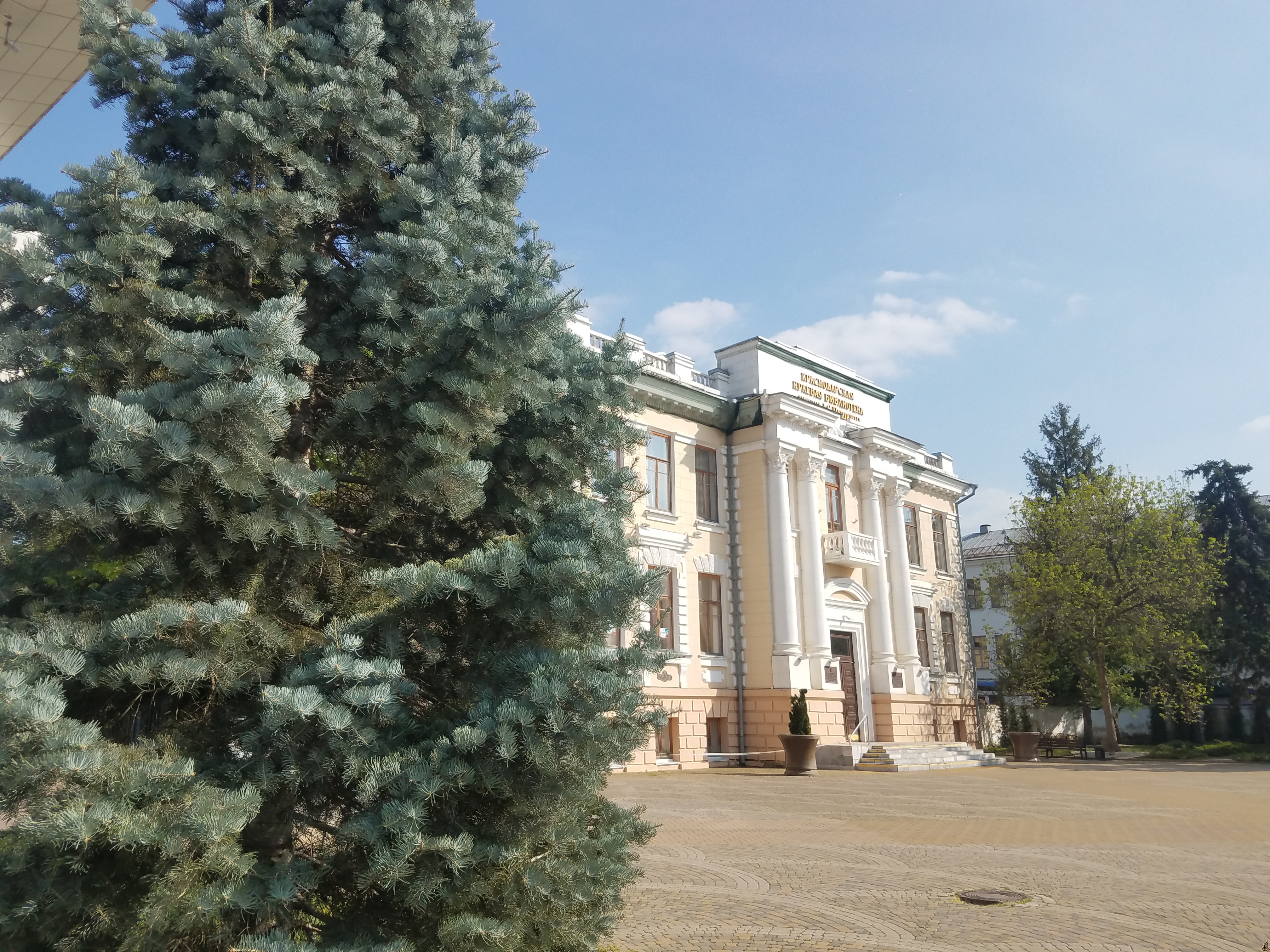 Библиотека оказывает бесплатные услуги по телефону: