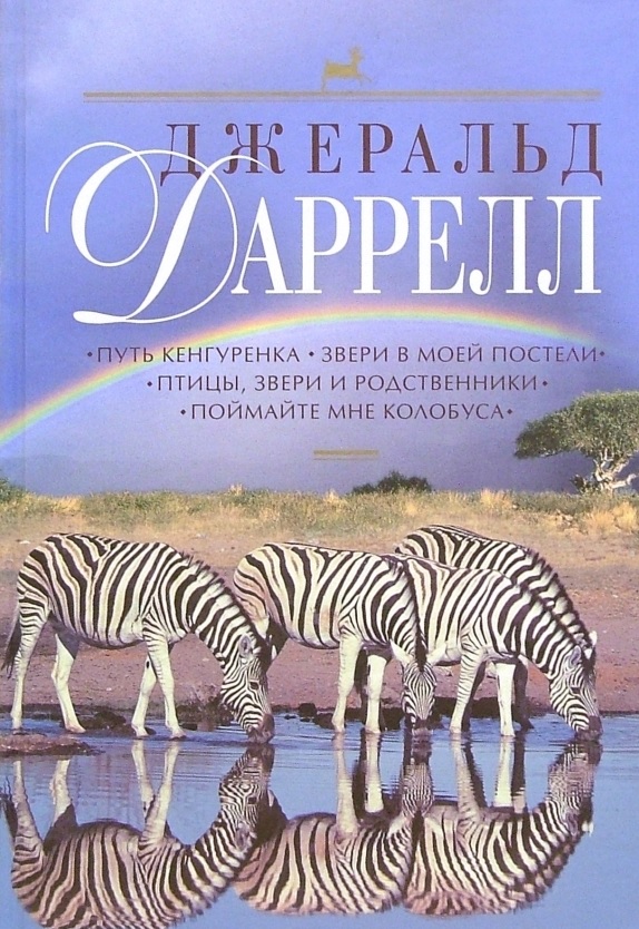 111.jpg